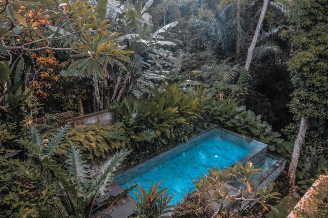 Aji Lodge Bungalow Ubud  Bagian luar foto