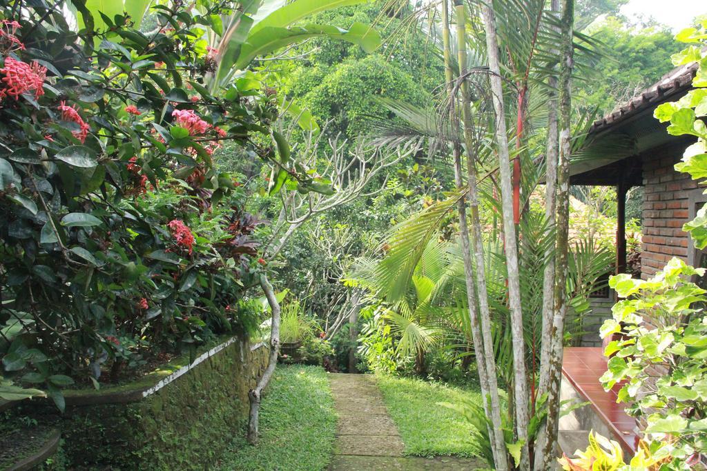 Aji Lodge Bungalow Ubud  Bagian luar foto