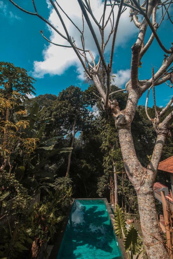 Aji Lodge Bungalow Ubud  Bagian luar foto